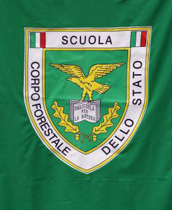 scuolaCFS