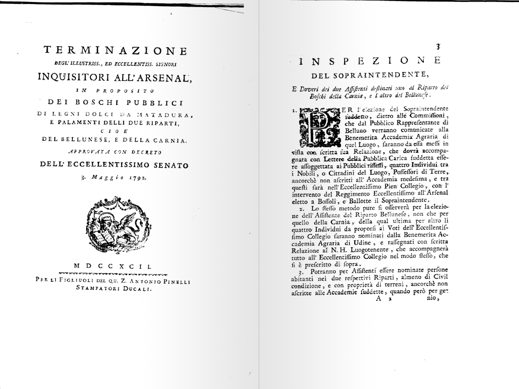 terminazione boschiva