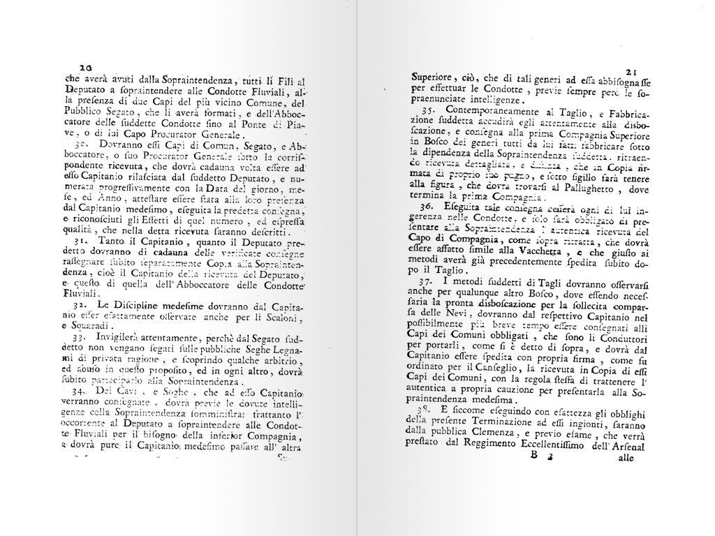 terminazione boschiva