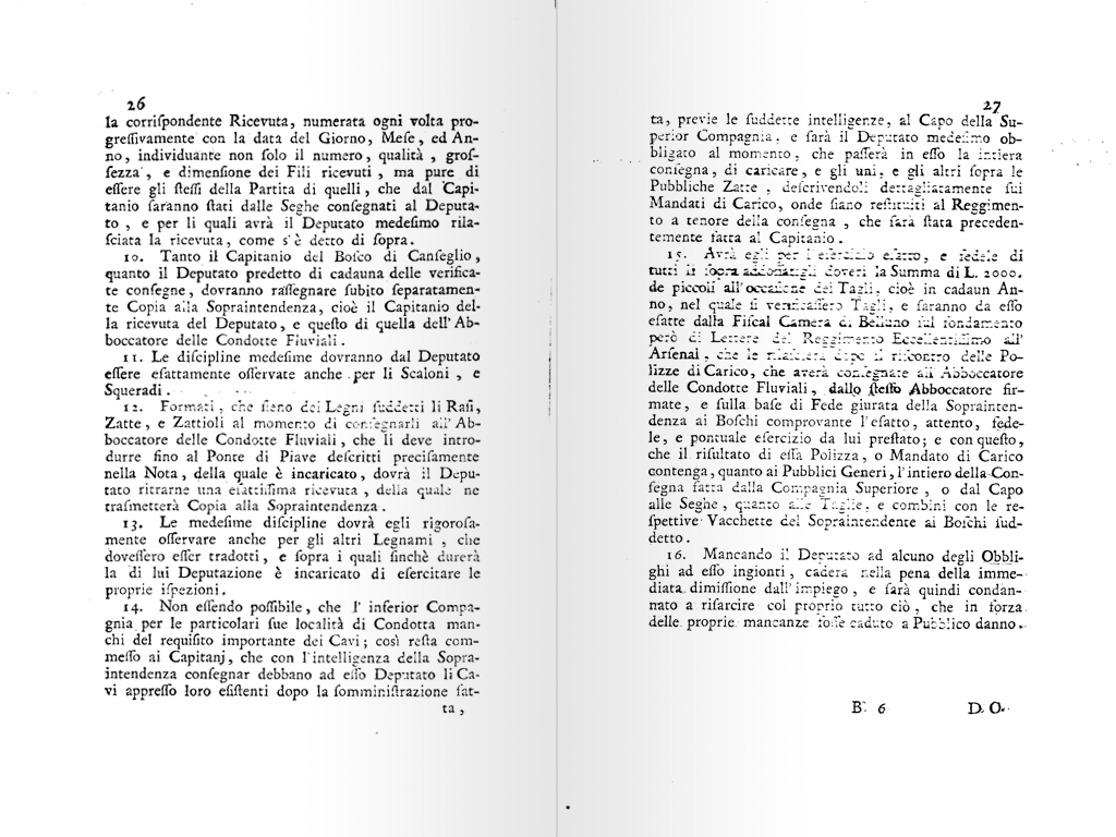terminazione boschiva