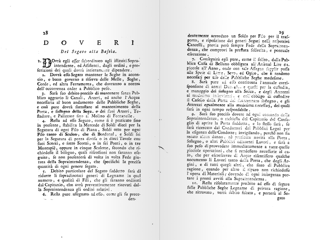 terminazione boschiva