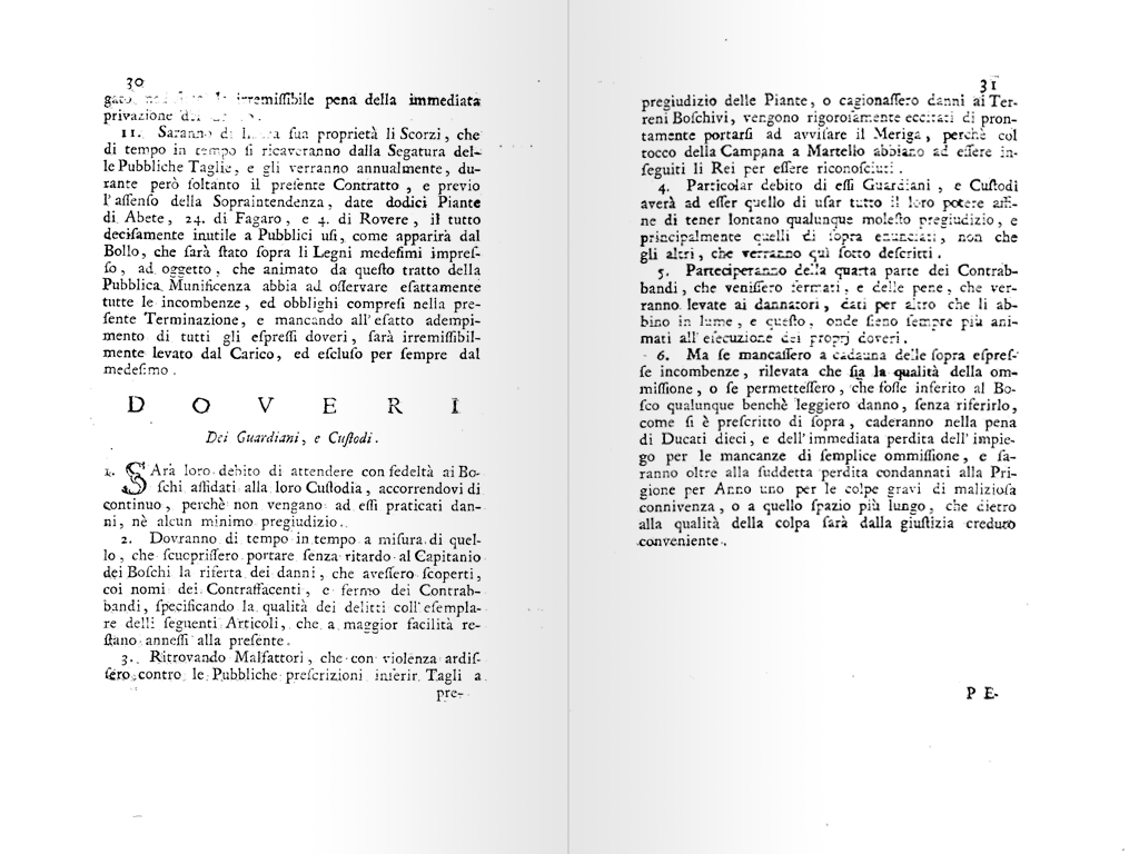 terminazione boschiva