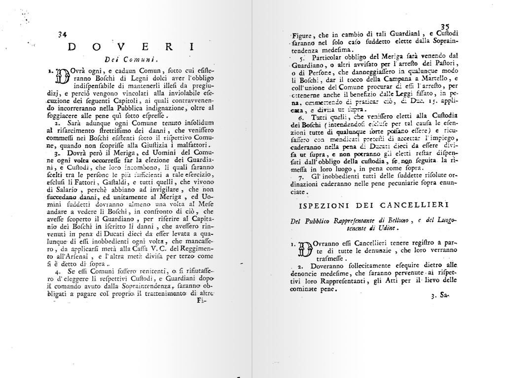 terminazione boschiva
