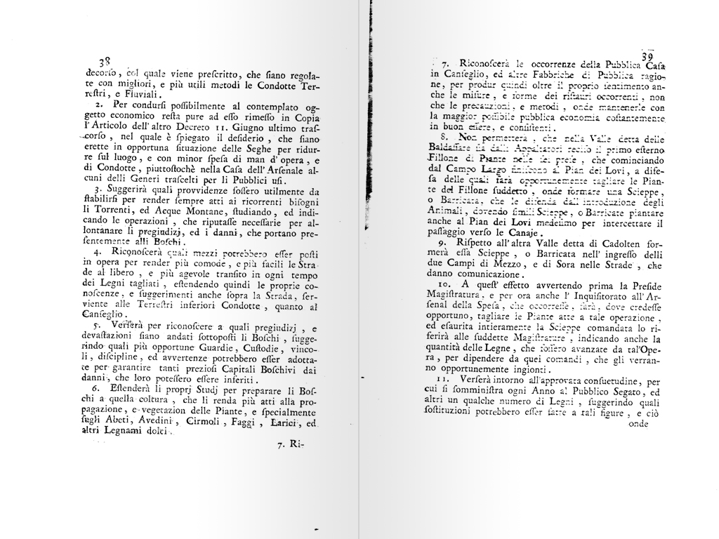 terminazione boschiva