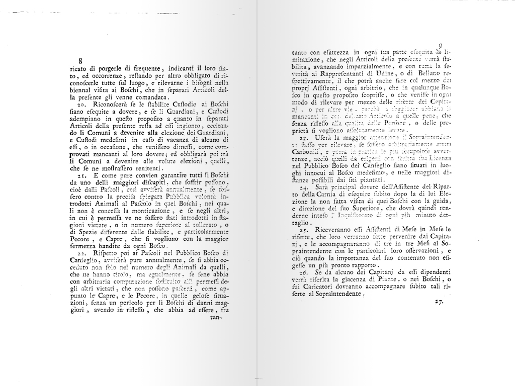 terminazione boschiva